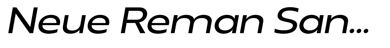 Neue Reman Sans Medium Expanded Italic